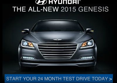Hyundai web banner